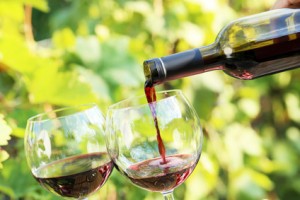 Dégustation vin sur la Costa Brava Espagne